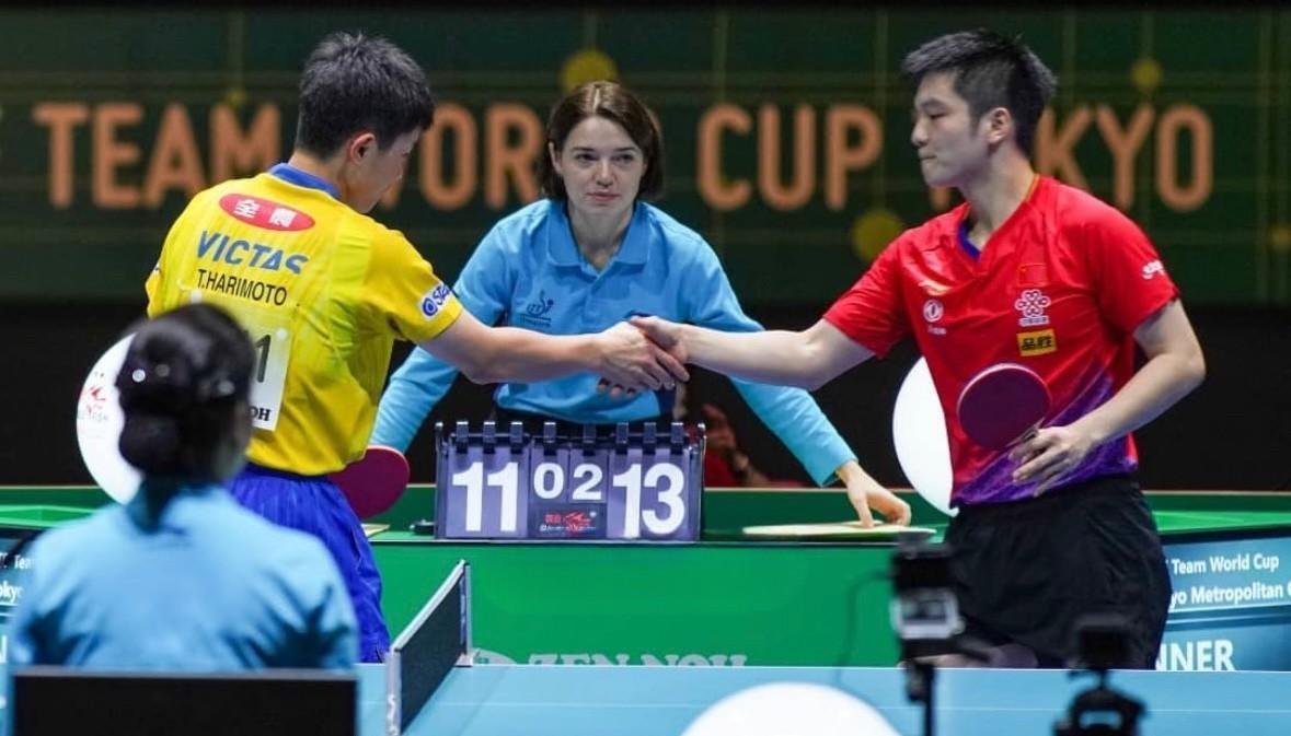 包含波兰乒乓球队强势中国乒乓球队，张本智和送出助攻的词条