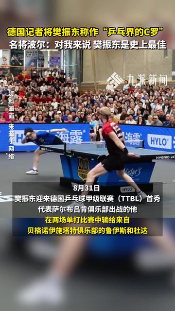 法国乒乓球队碾压比利时乒乓球队，波尔惊艳世界的简单介绍