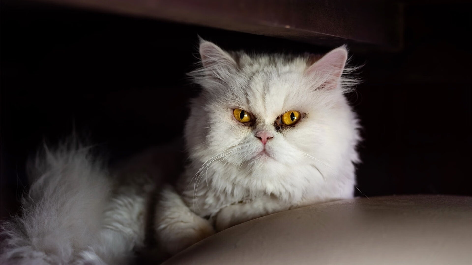 开云体育app-西决生死战之夜，英格拉姆，于无声处听惊雷，在绝境中称君王