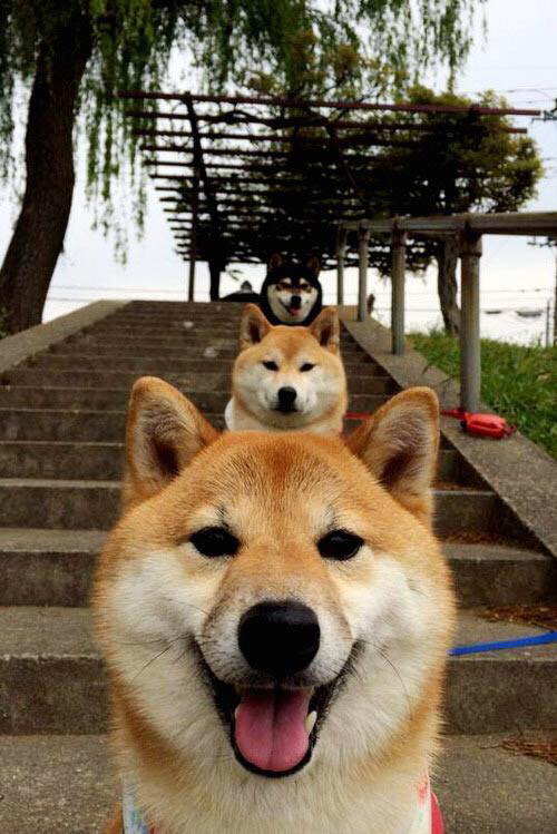 黄喜灿存在感拉满，塞内加尔与厄瓜多尔对决的跨赛场回响