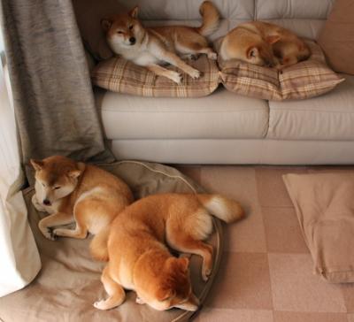 开云官网-末节的韧性与焦点的接管,足球场上那些决定性的非典型英雄