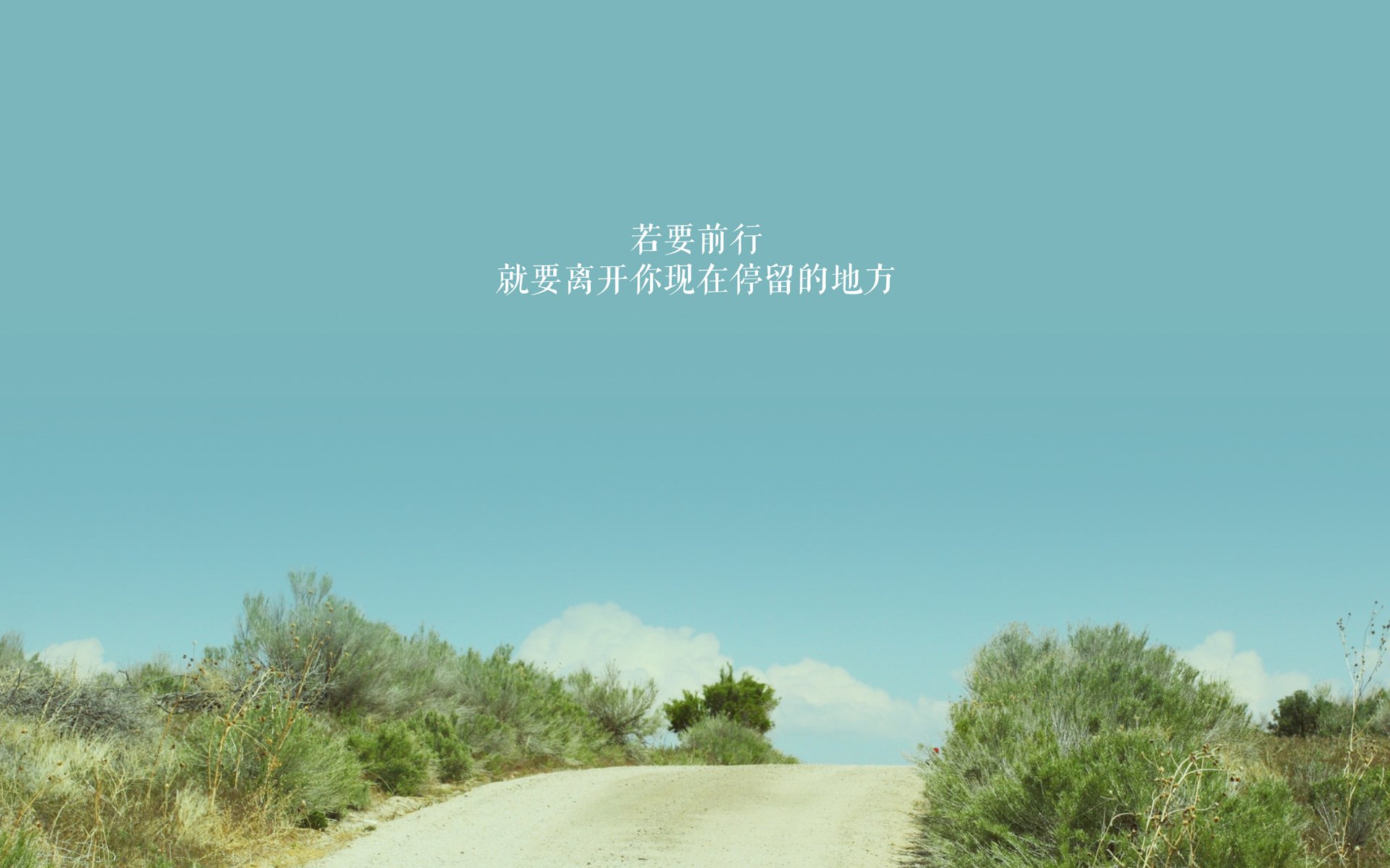 卡塞米罗的杀伤艺术与荷兰的封锁战略，从绿茵场到国际舞台