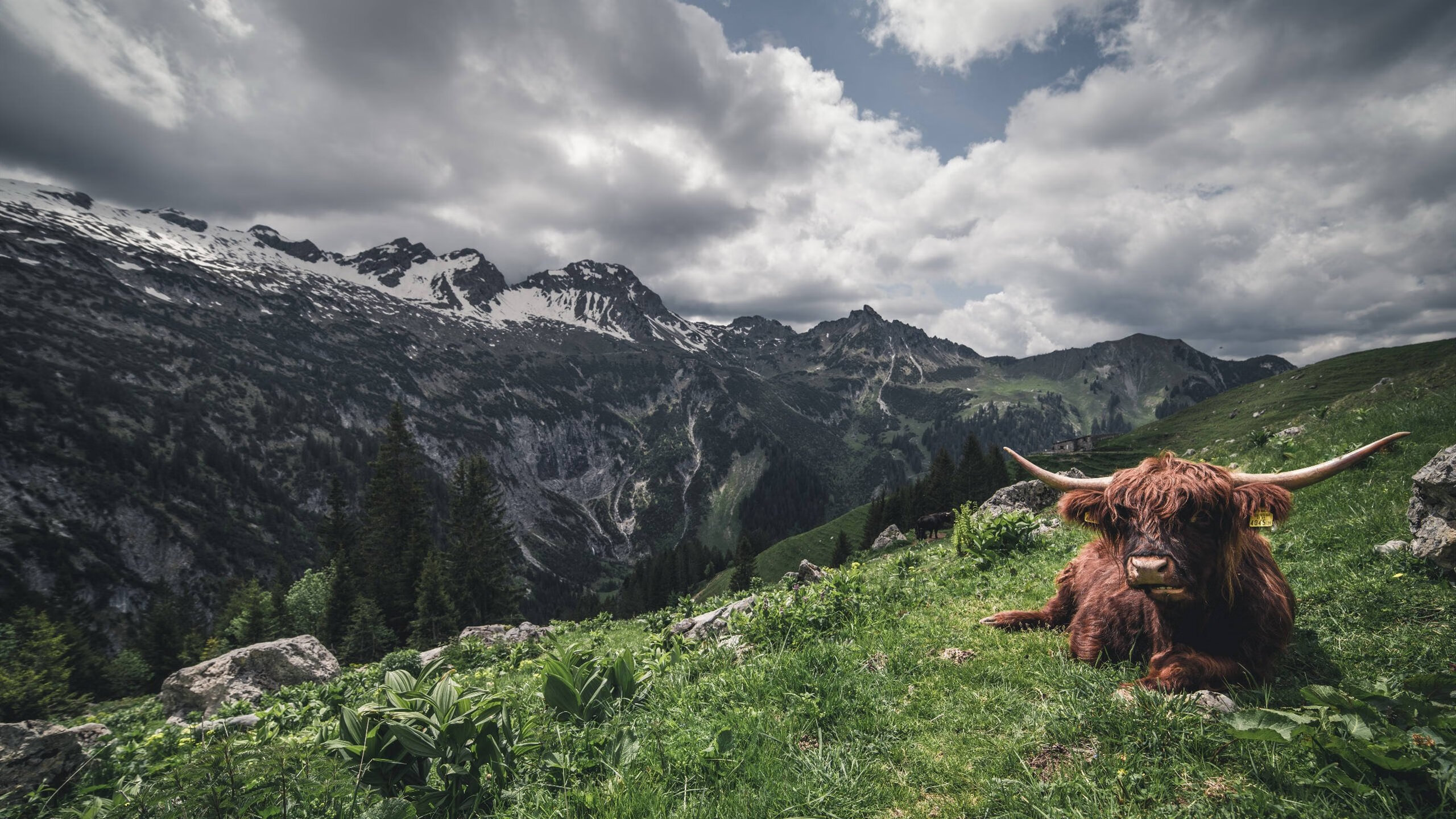 萨拉赫一剑封喉！埃及法老引领红军奏响年度最强音