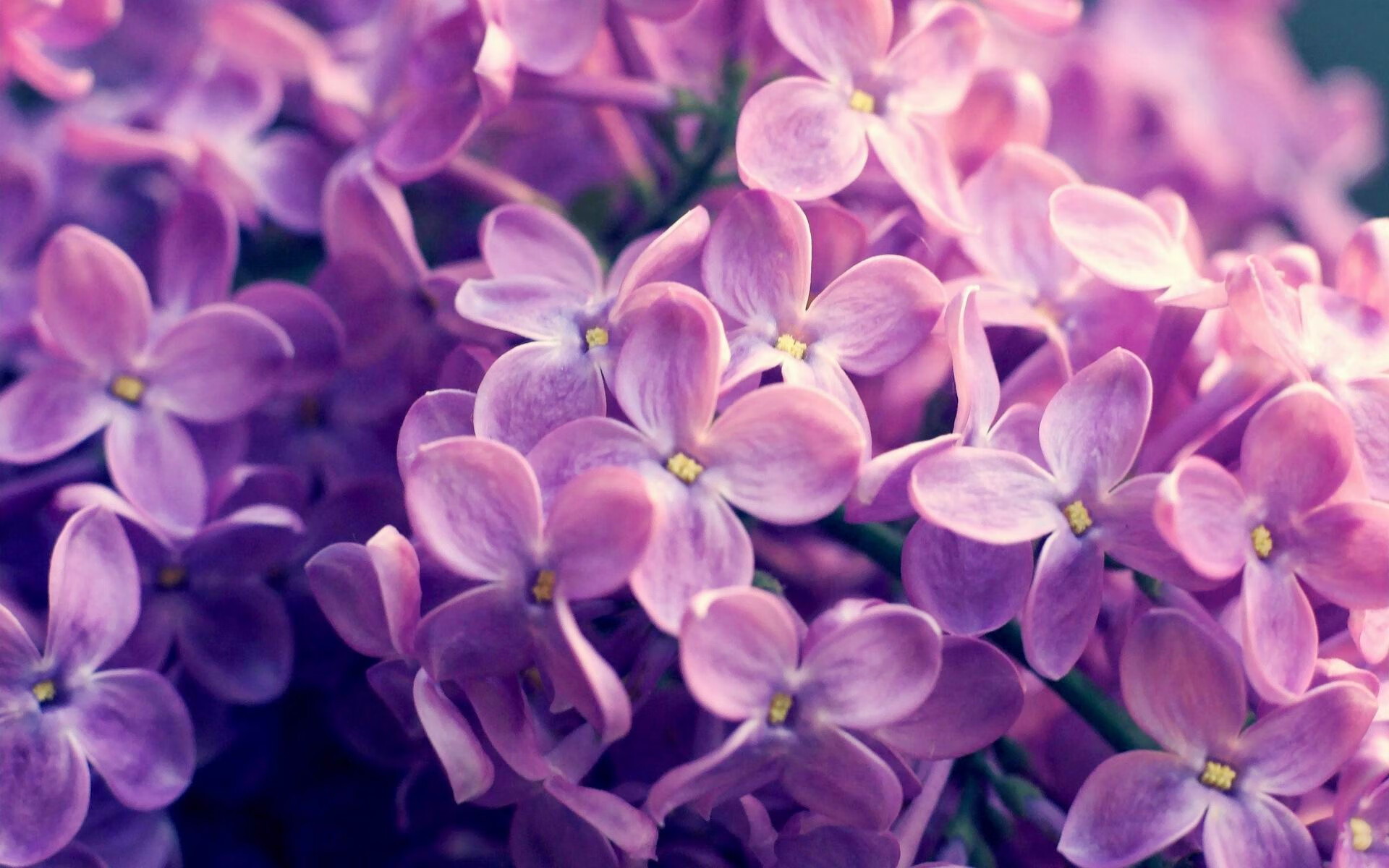 沙漠中的救赎，当莱万打破心魔，墨西哥与沙特写下另一章