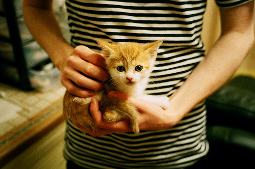 生死之夜,迪马利亚剑指胜利—西决关键战纪实