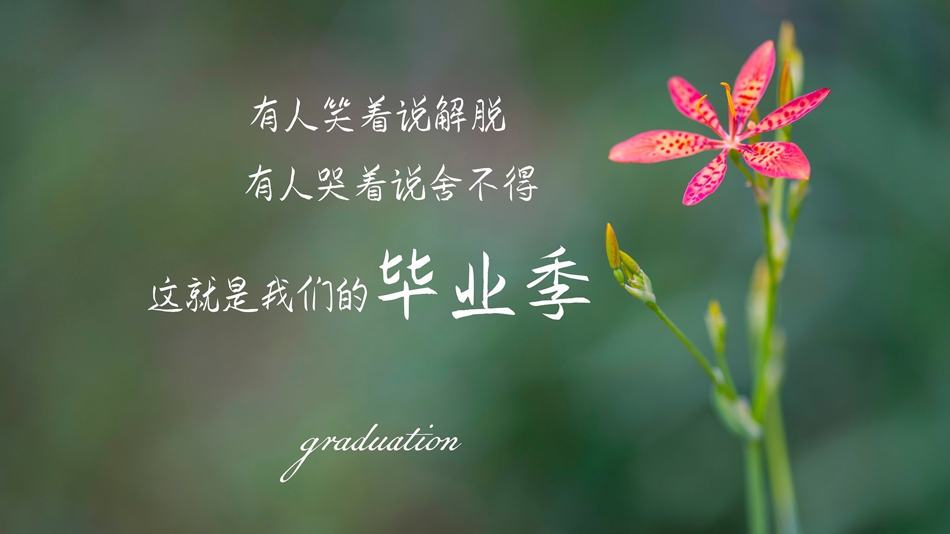 开云APP-意甲焦点战，马里锋霸末节定乾坤，瑞士铁闸徒留遗憾