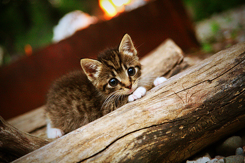 开云体育app-指挥家的左手，哈登如何将马刺与热火的交响曲谱成个人华章