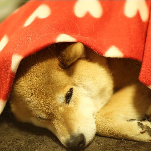 开云体育APP下载-黑与绿的交响,F1揭幕战之夜与萨内持续制造杀伤的速度哲学